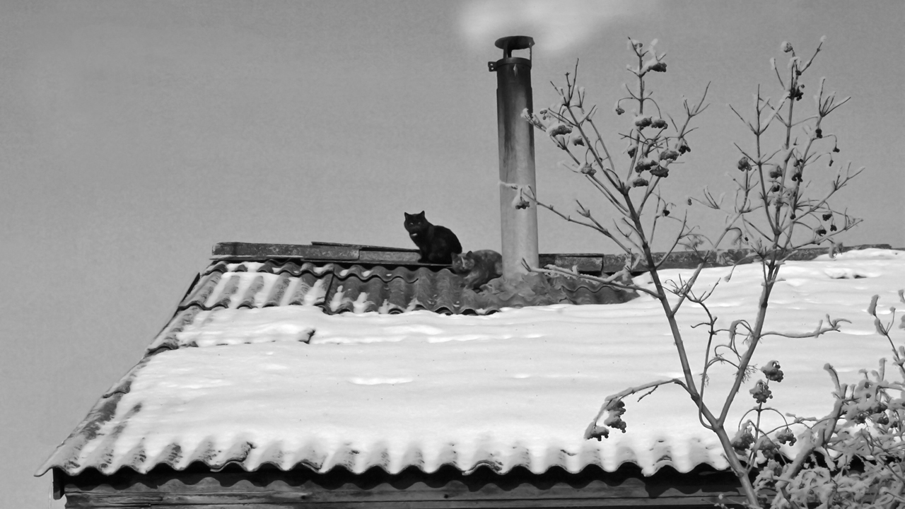 Труба, она не только зовёт...