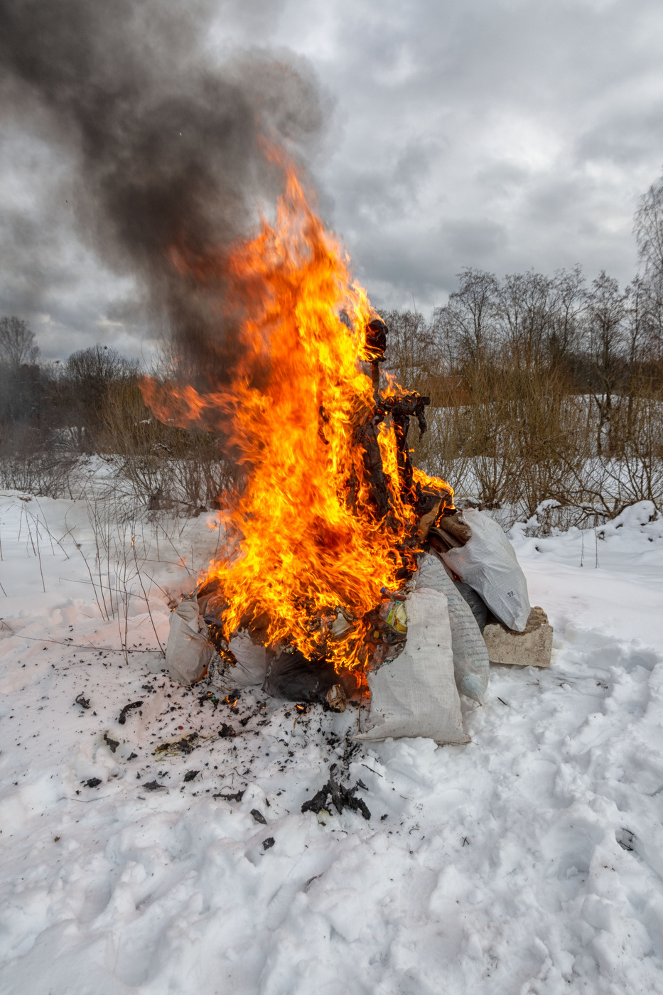 Жизнь вокруг
