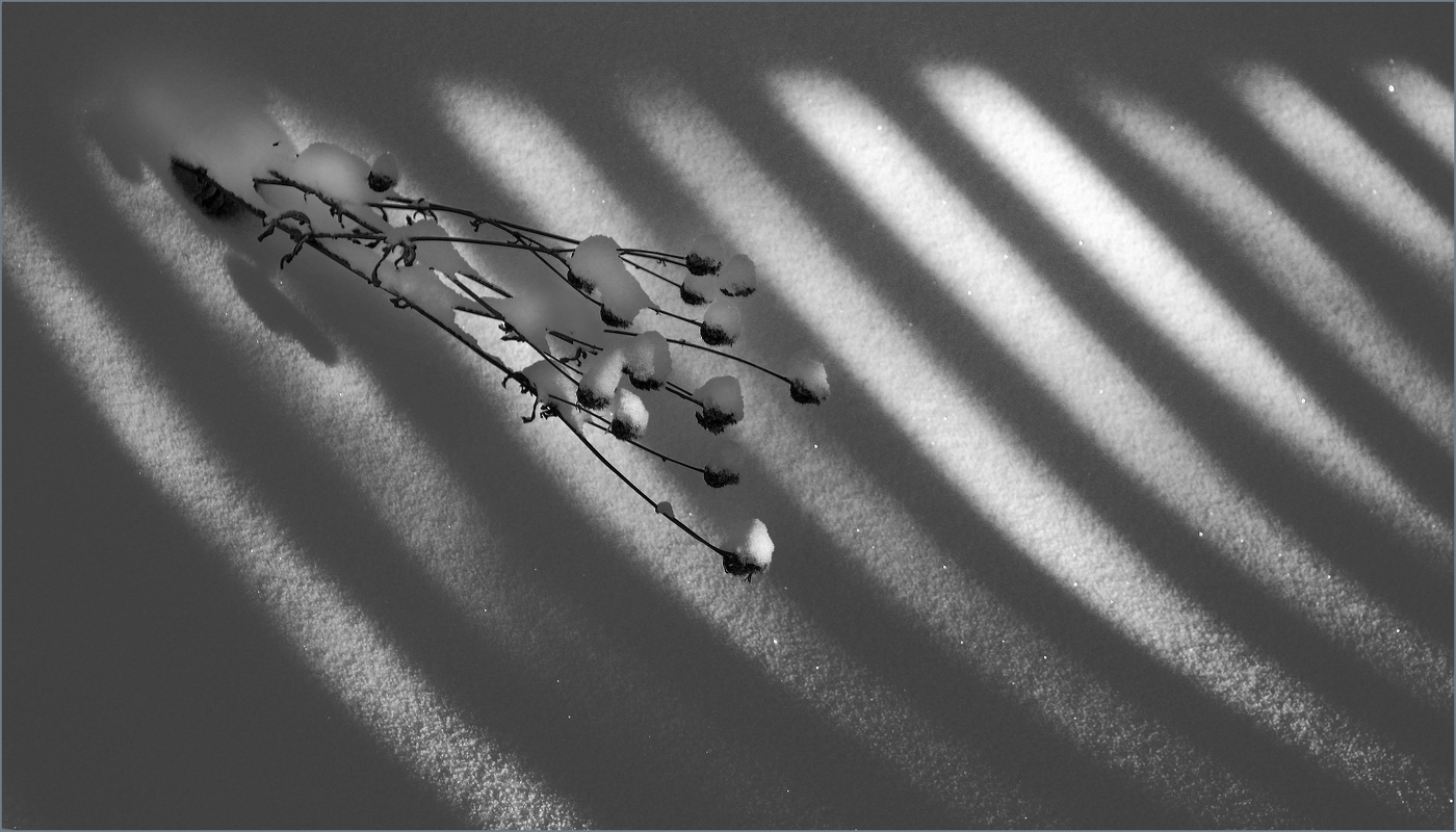 Монохромность