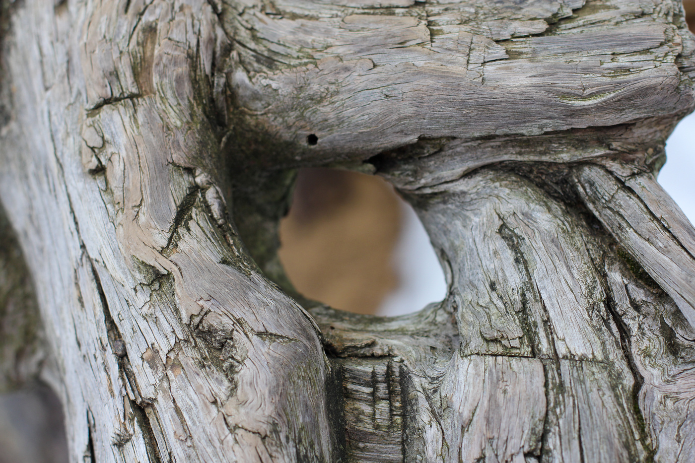 Квадратный корень.