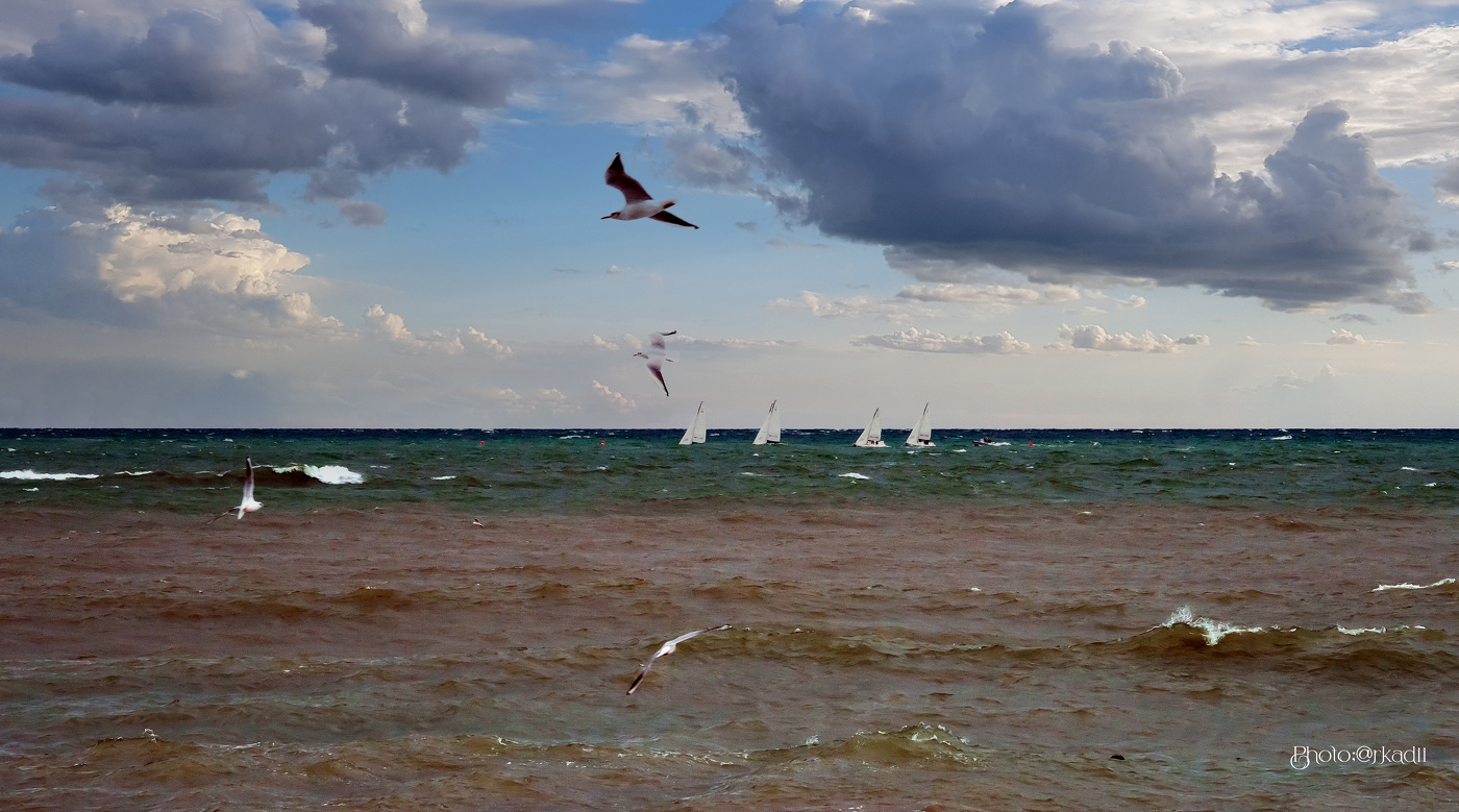 Ветер по морю гуляет...