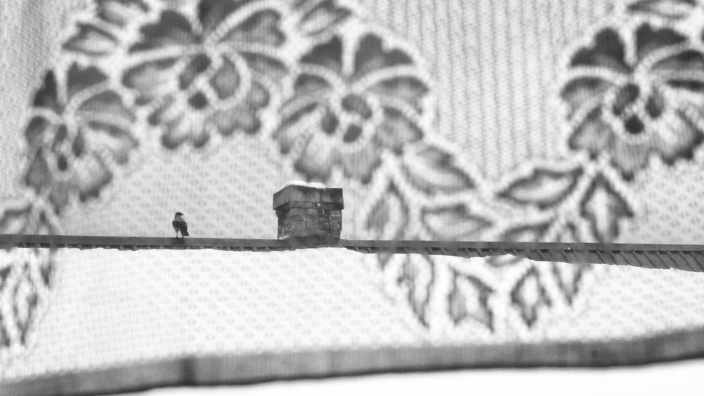 Жизнь вокруг