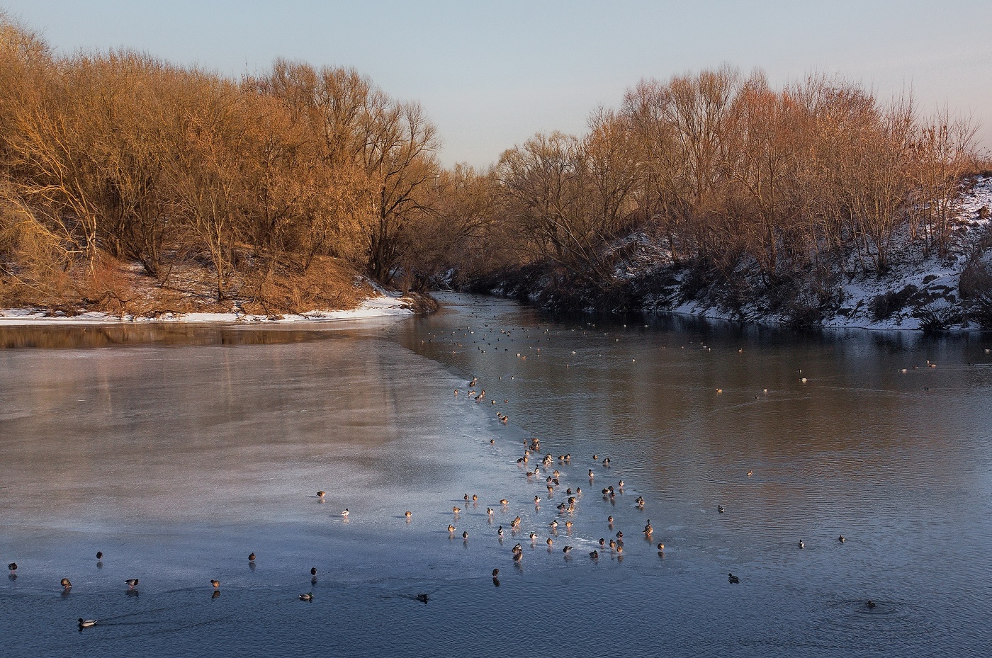 февральский сюжет