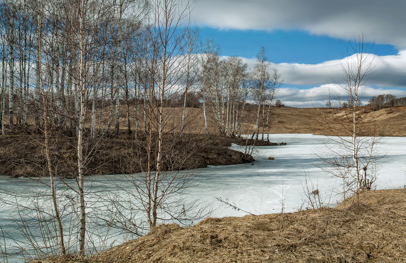 Забывчивая зима.
