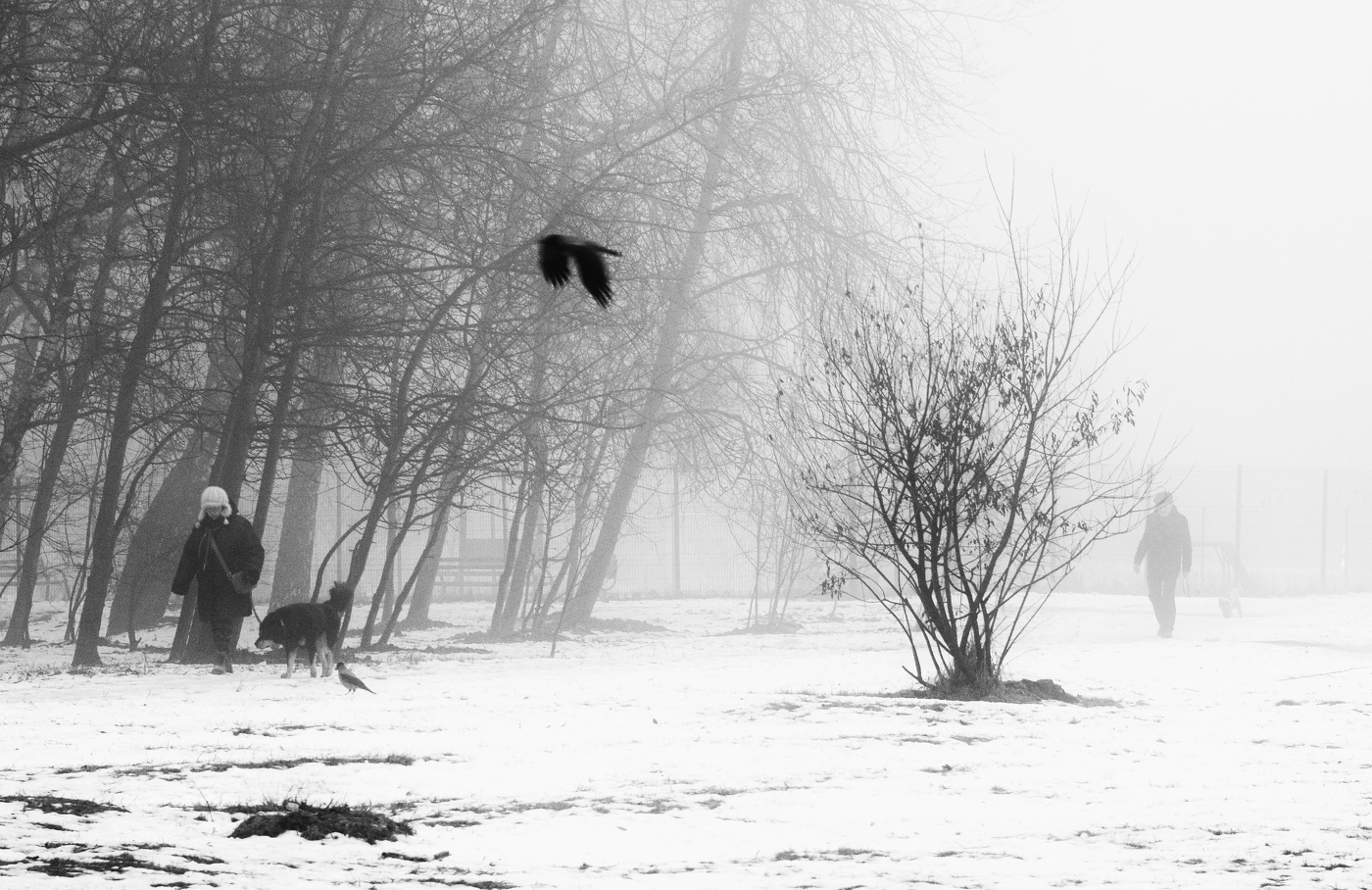 Туманное утро серого дня ...