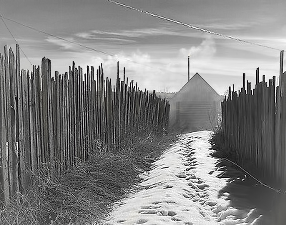 Снежная тропа в баньку.