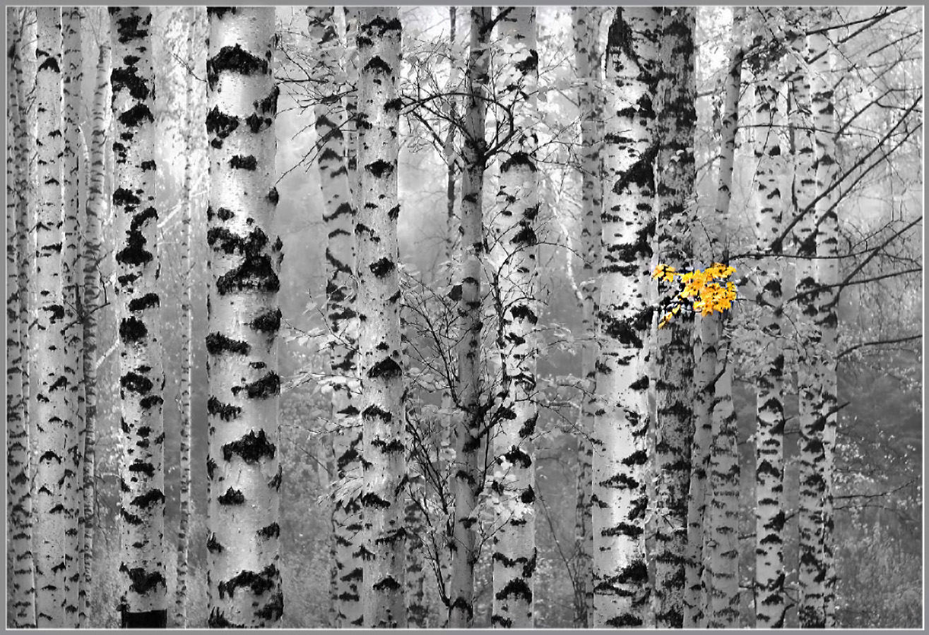 Осенний штрих