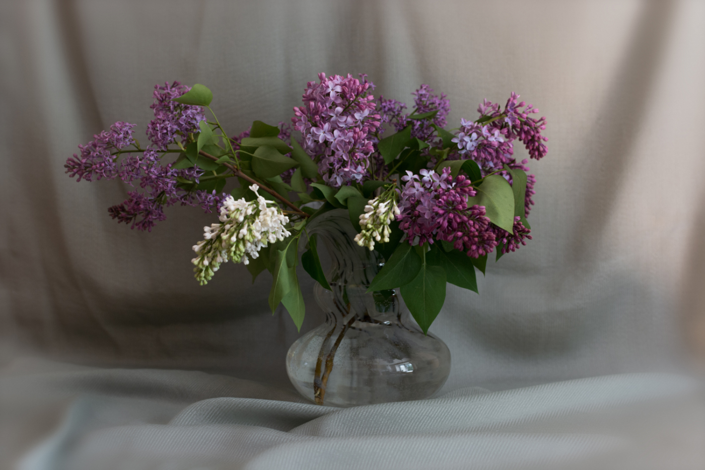 Натюрморт с сиренью.