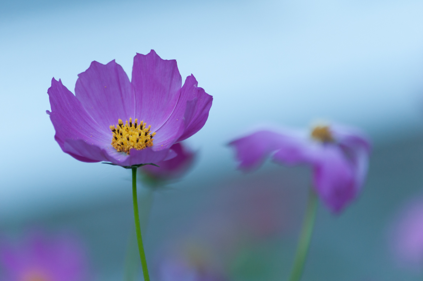 Ты меня...не забывай....