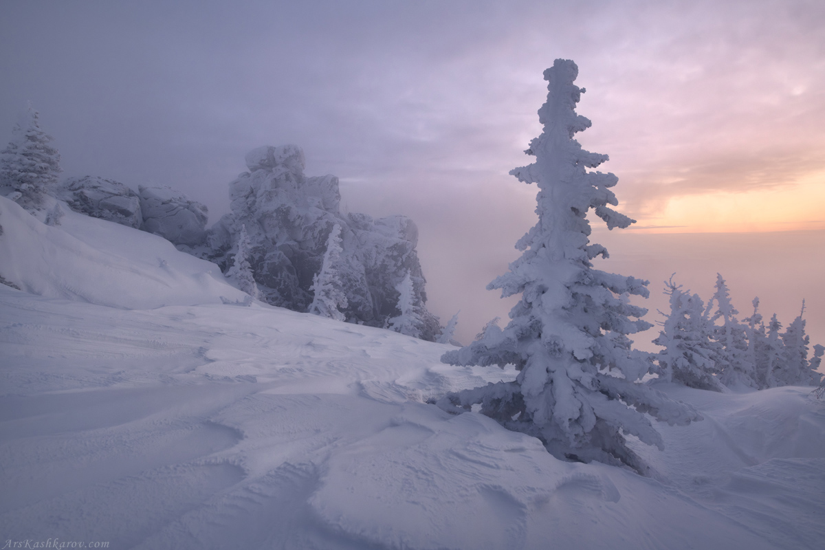 "Снежные ели и камни"