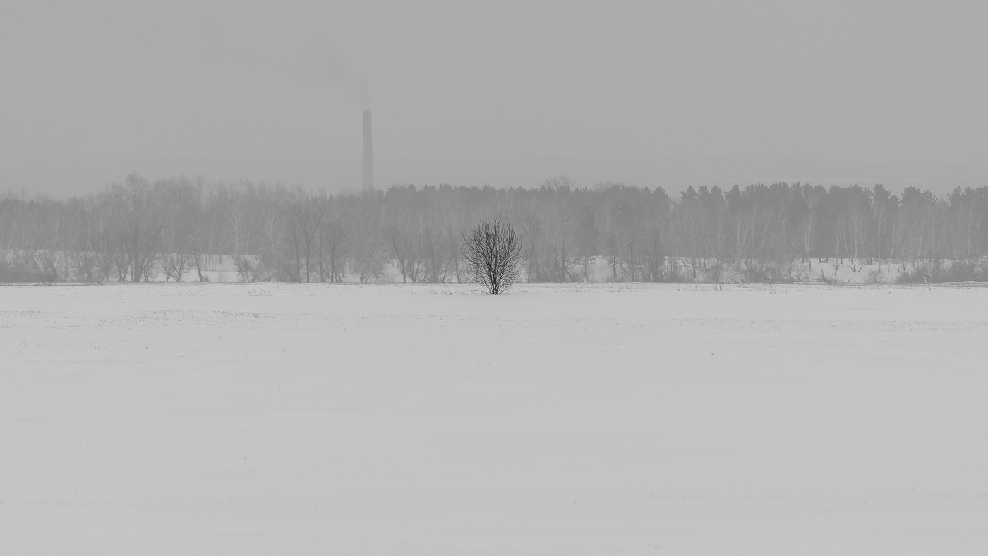 Белая заснеженная равнина.