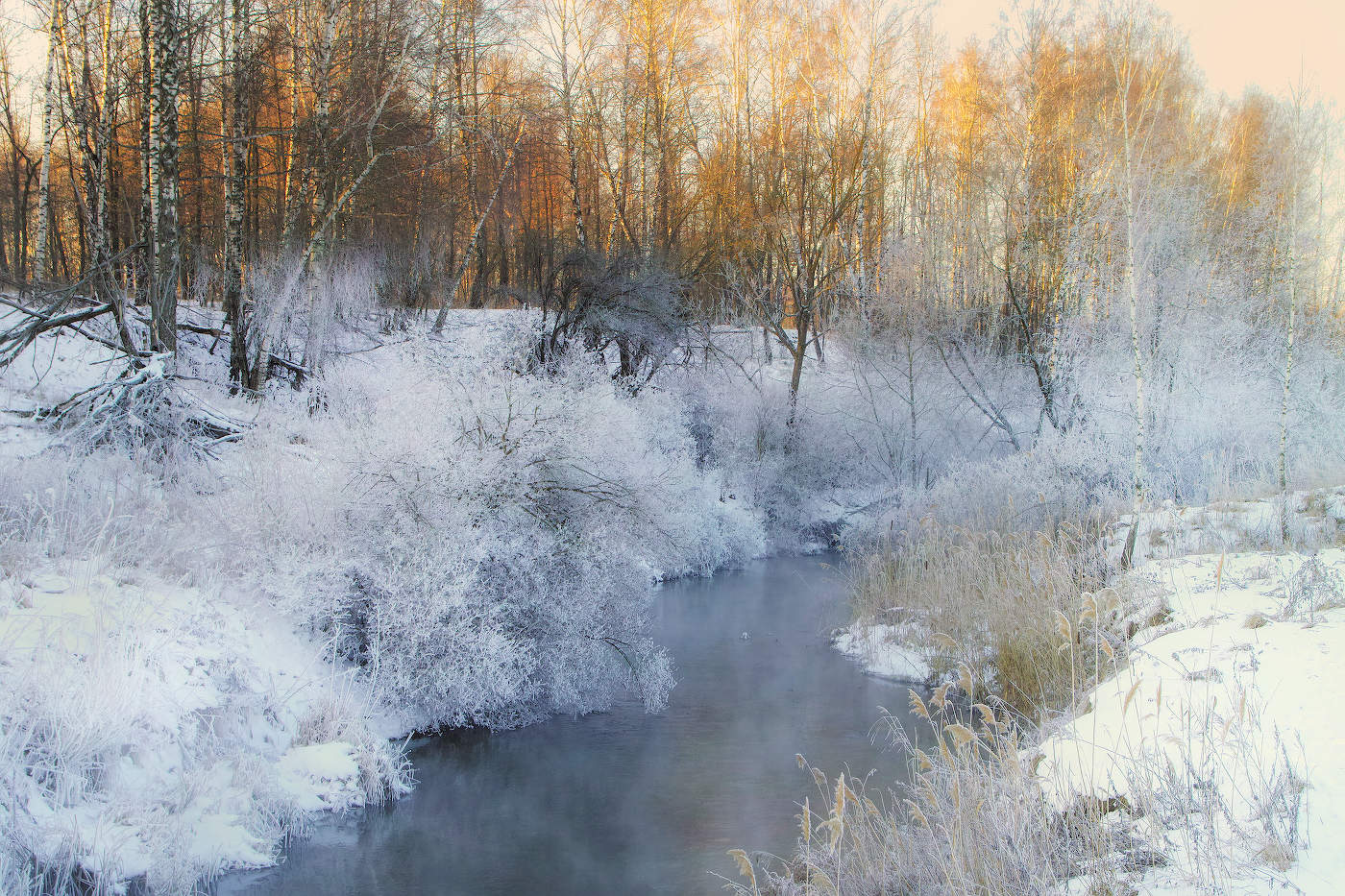 Морозное кружево