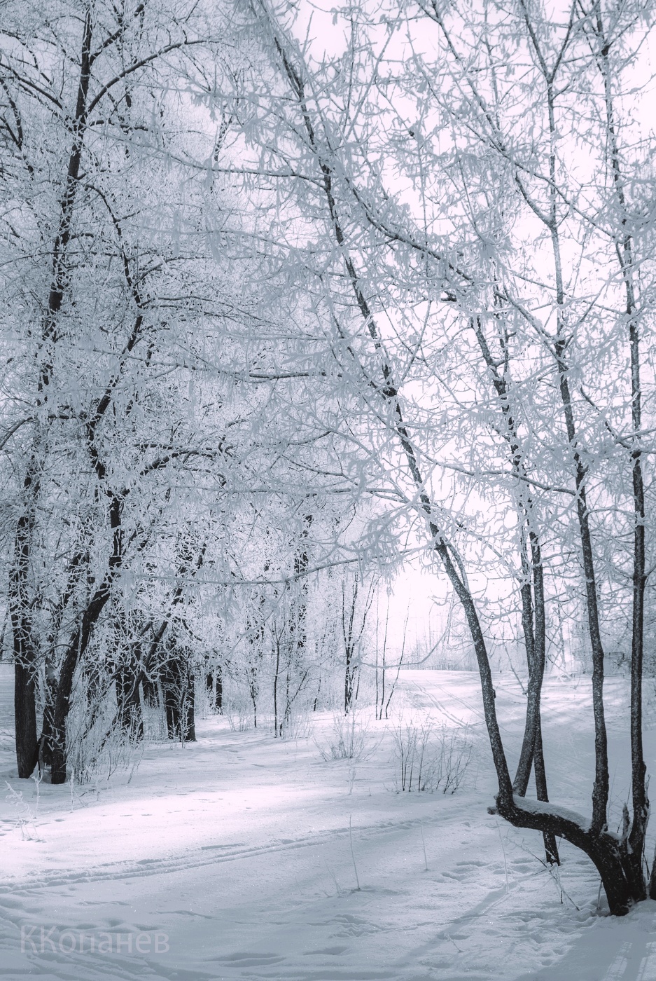 Мороз и солнце