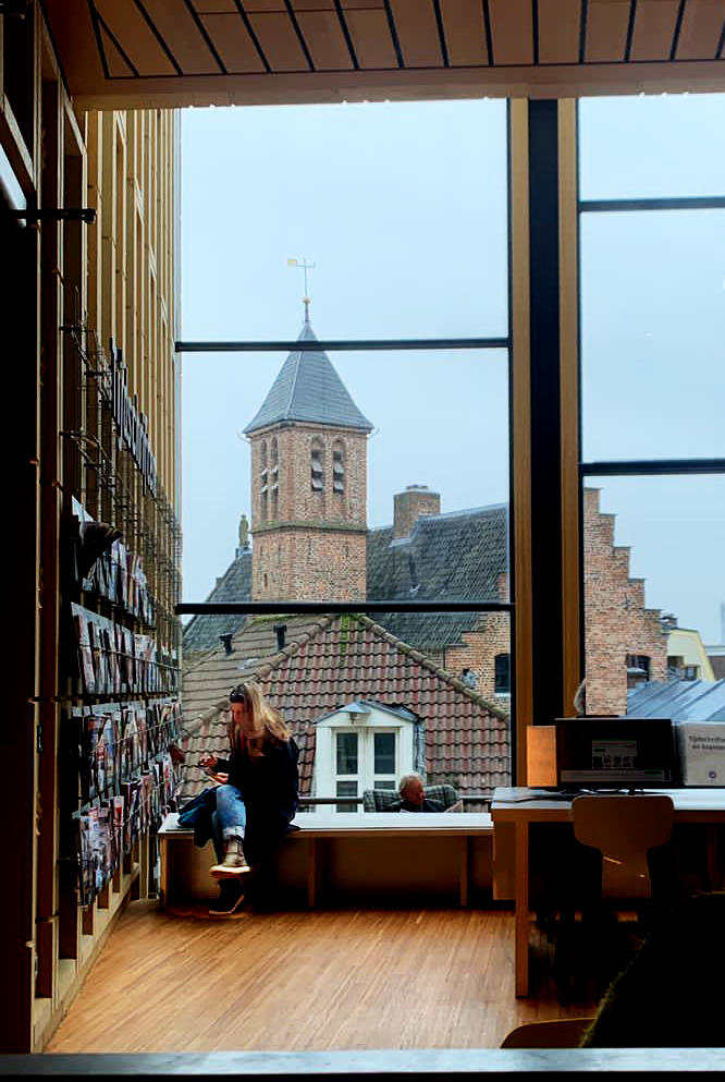 В тиши библиотеки