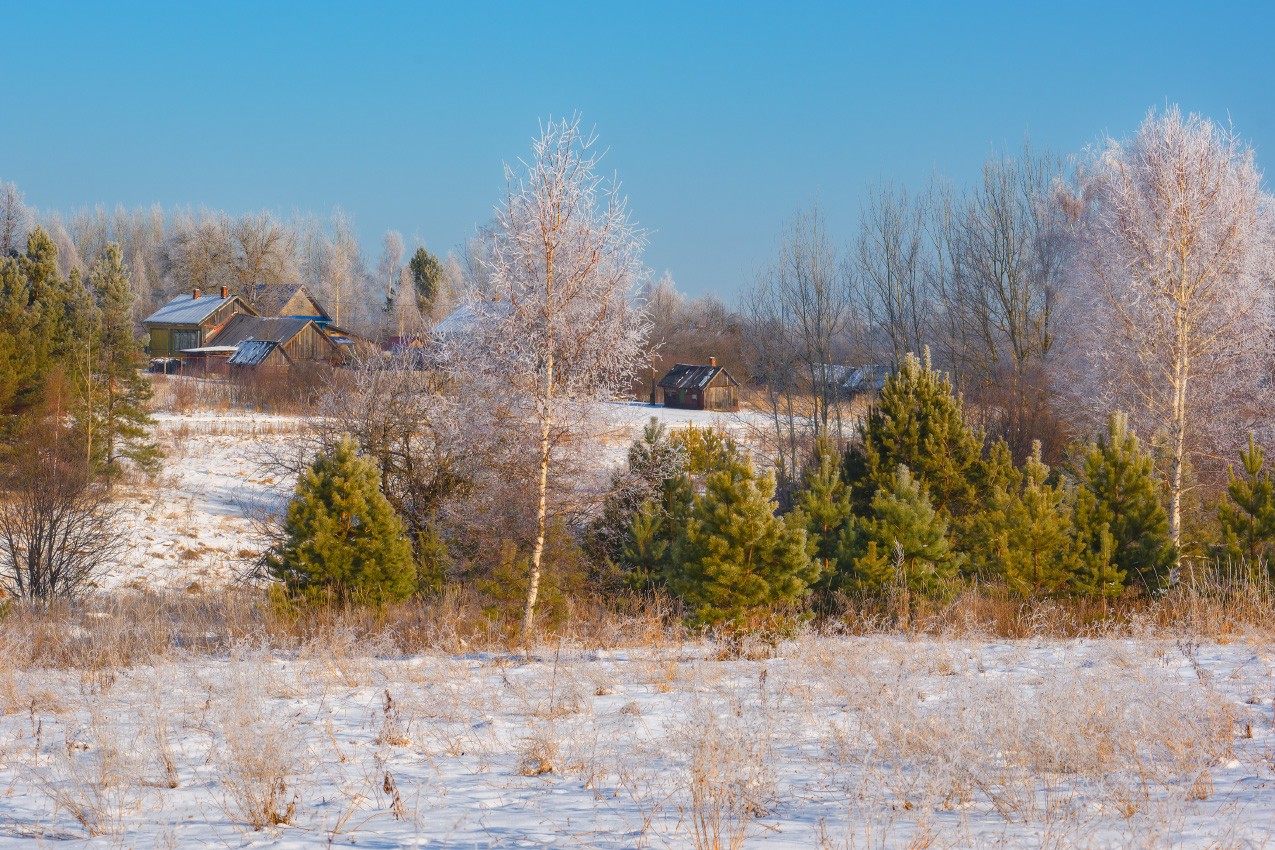 Погожий денёк.