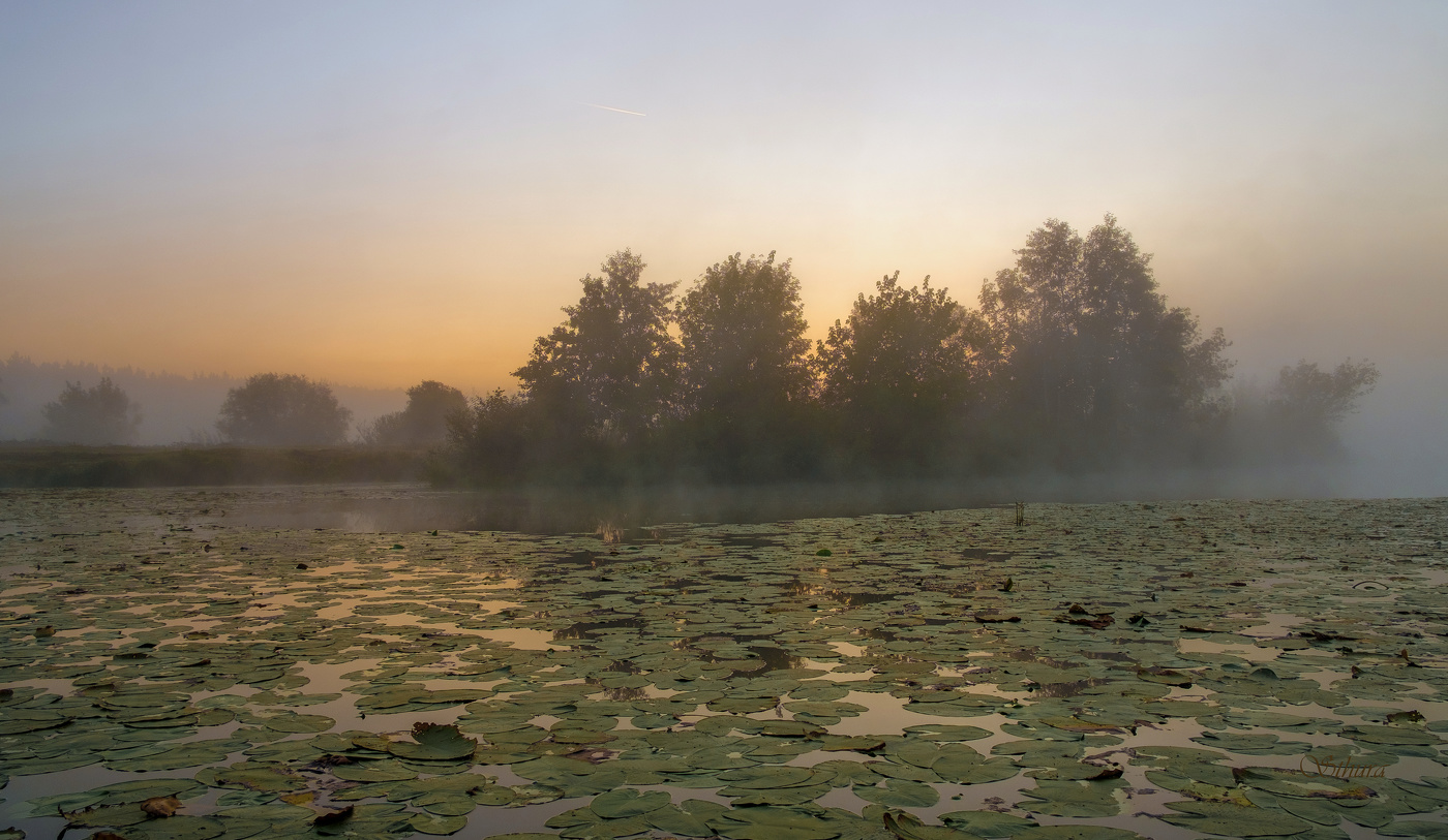 В сентябре.