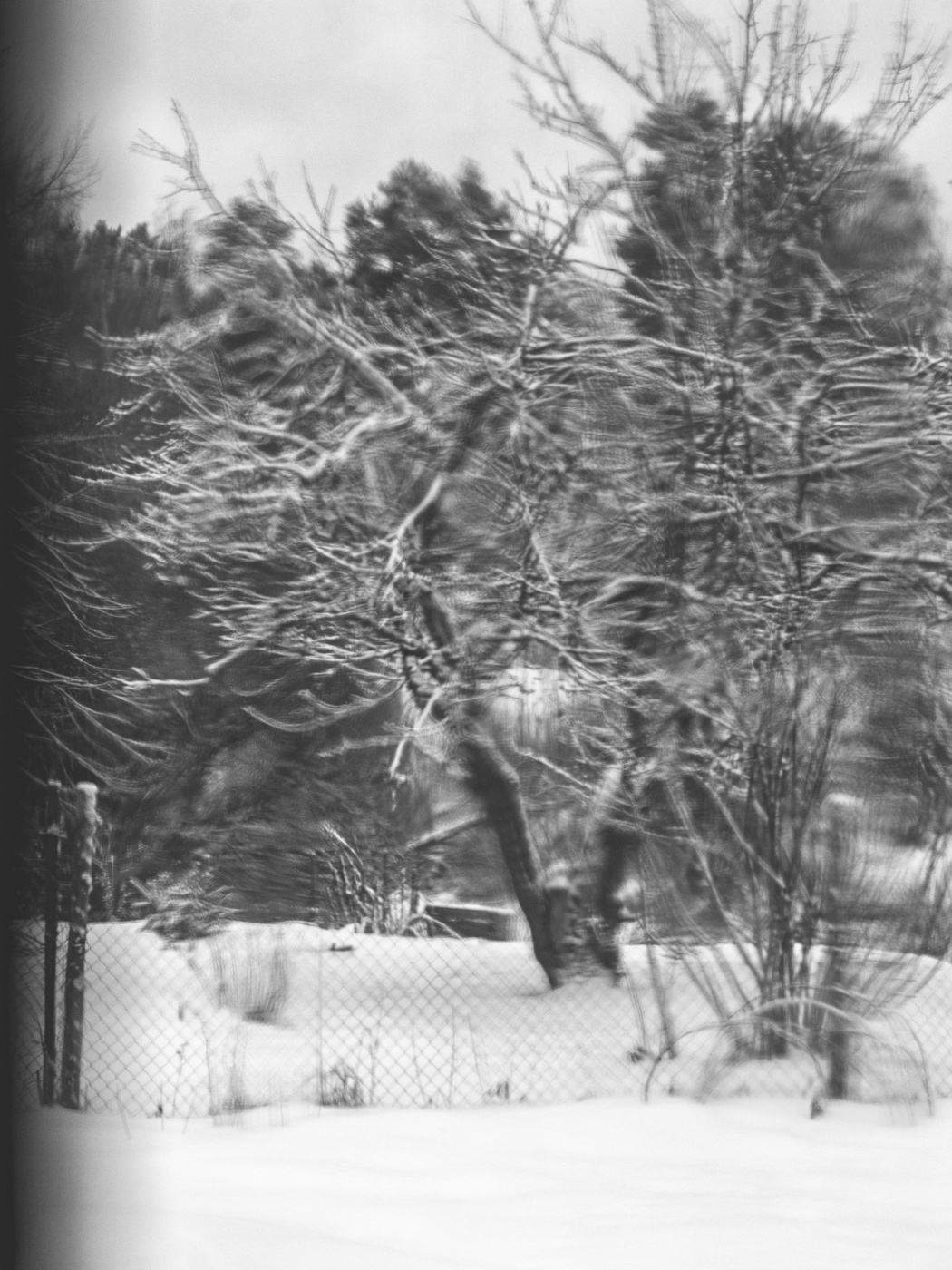 Жизнь вокруг