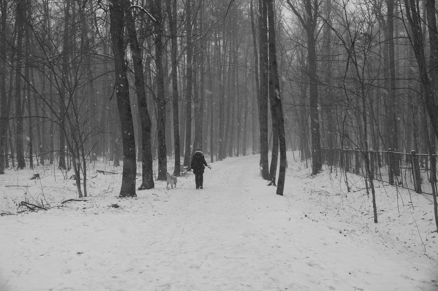 Последний снегопад