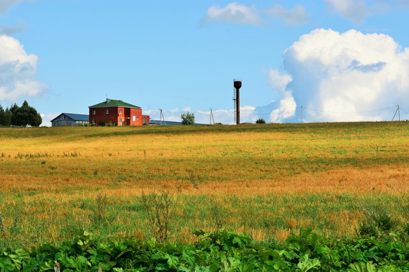 Ферма на холме ...