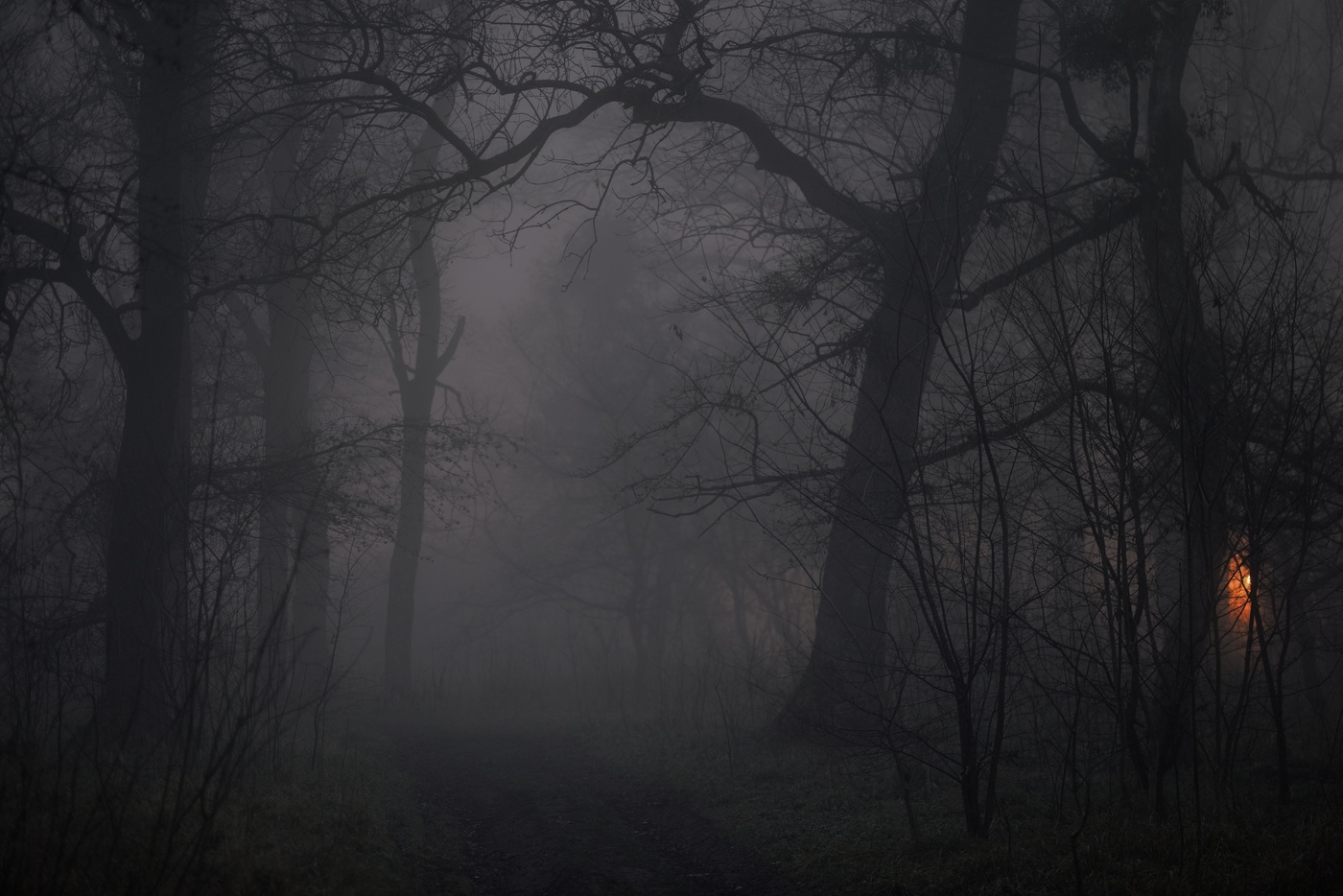 Ночной туман