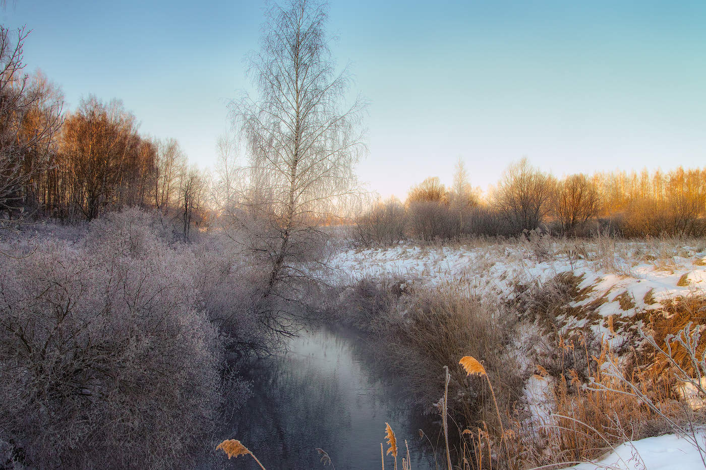 Утром на реке