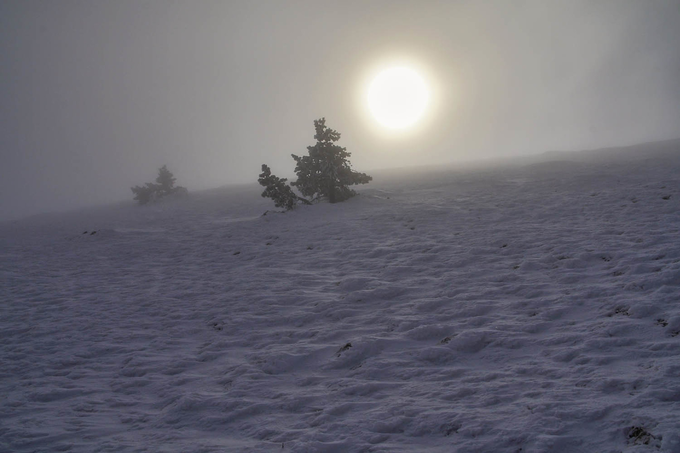 На верхнем плато