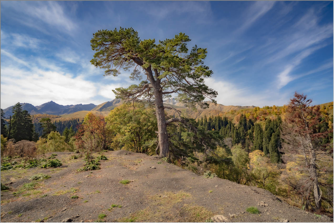 На семи ветрах