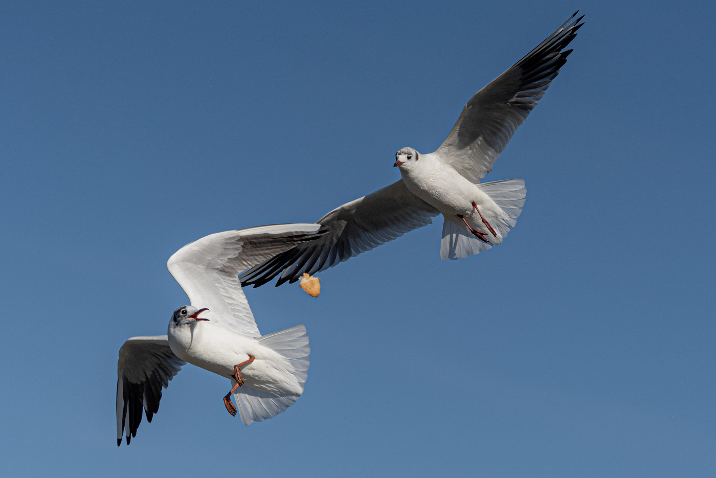 Воздушная дуэль