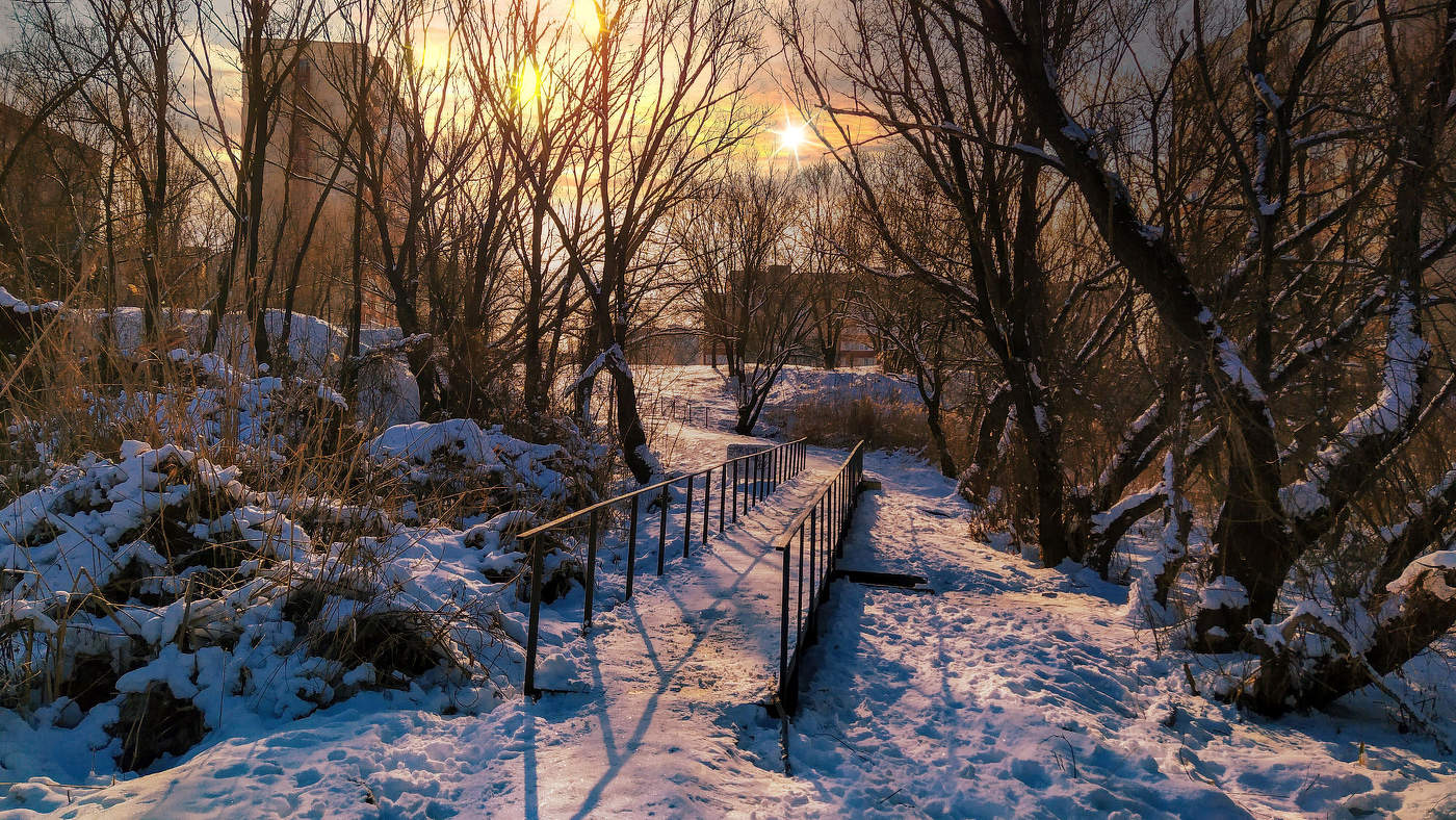 С мостика начинается соловьиная роща.