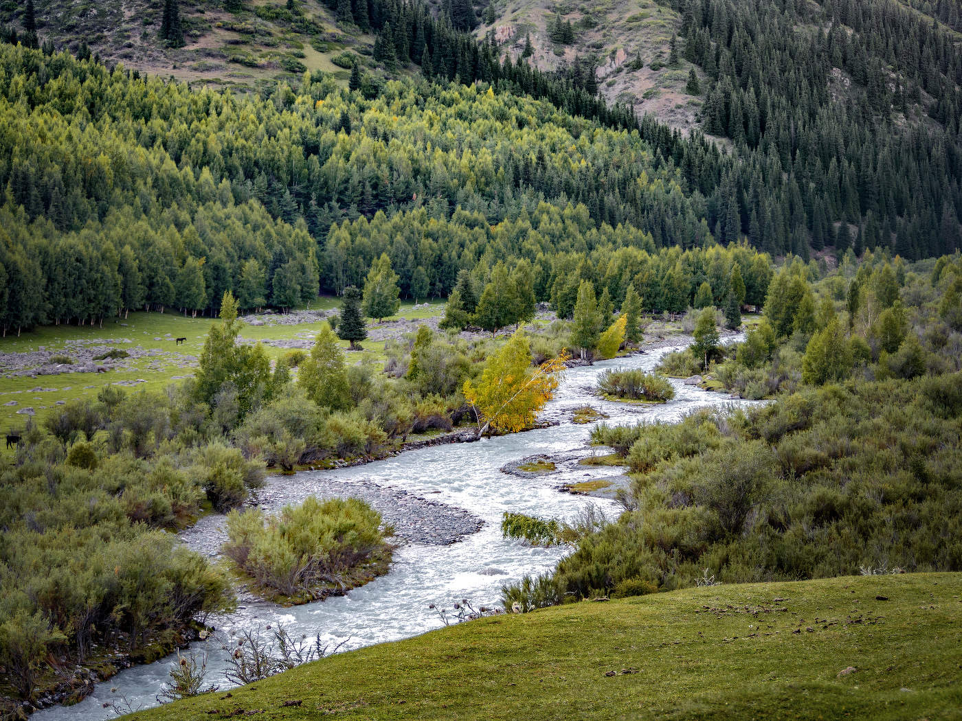 Горная река