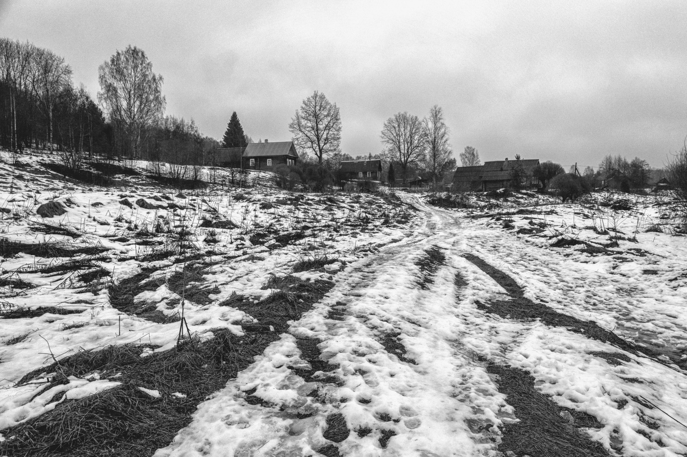 Жизнь вокруг