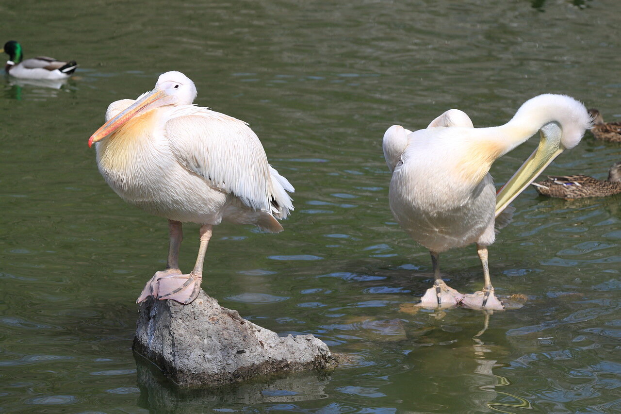 Семейные будни