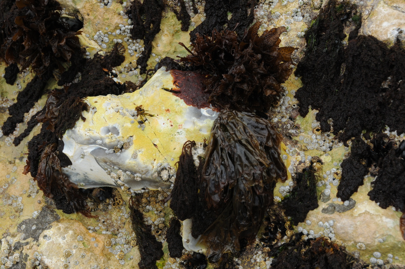 Нерукотворный