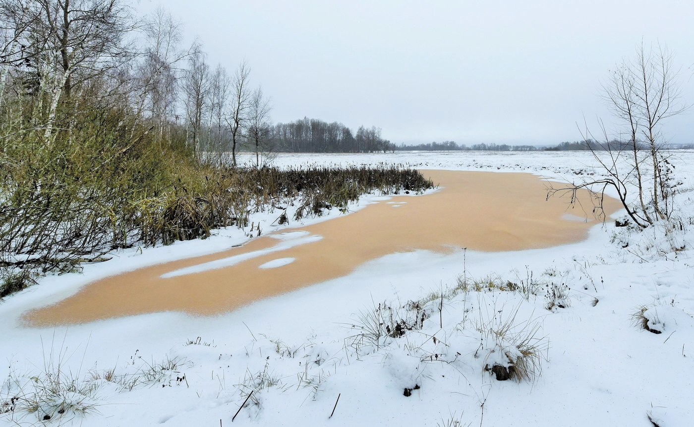 Замерзший пруд ...