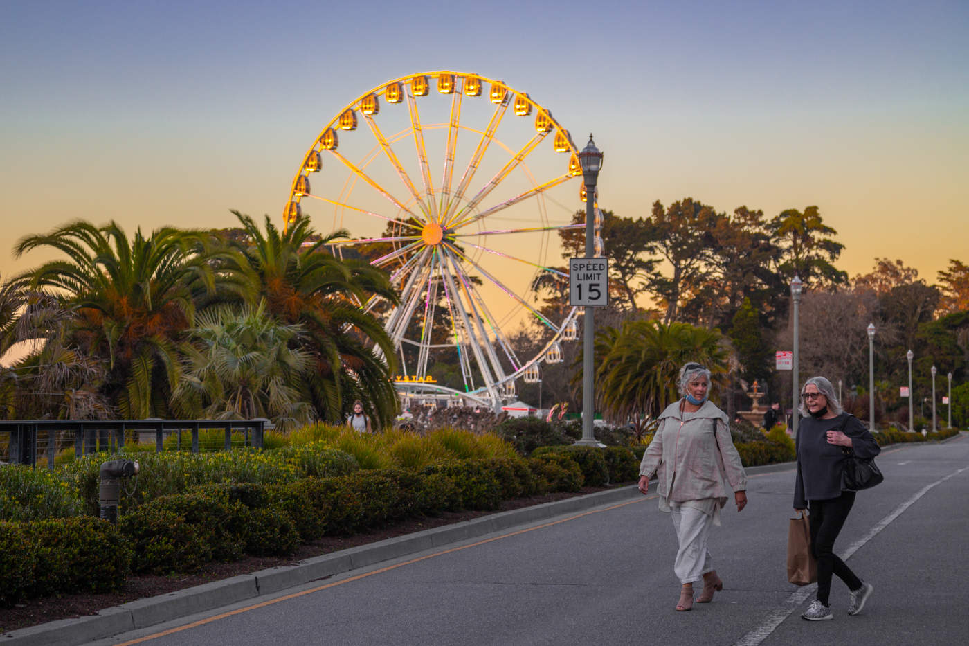 В парке Голден Гейт