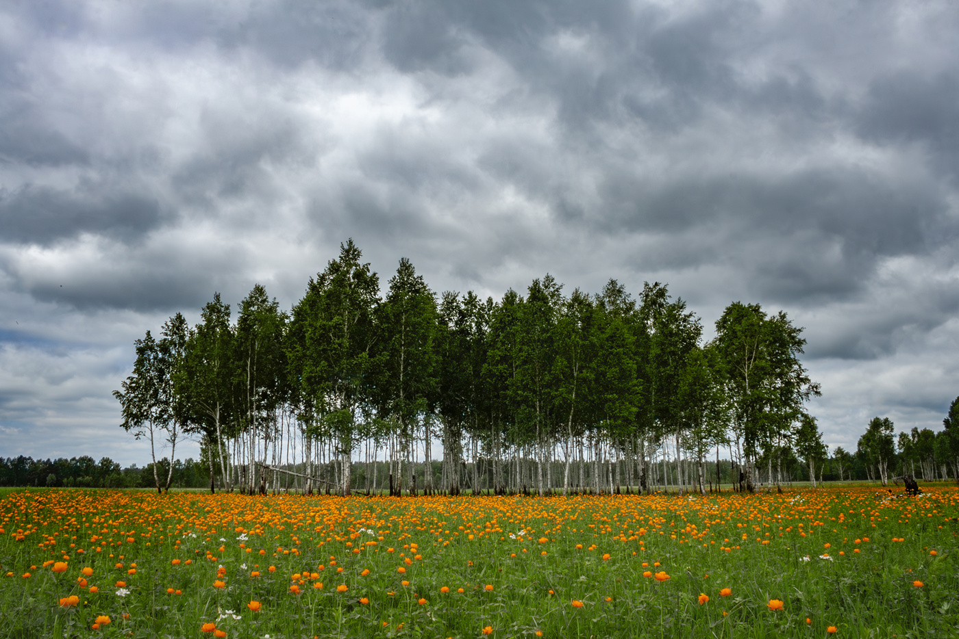 С праздником!