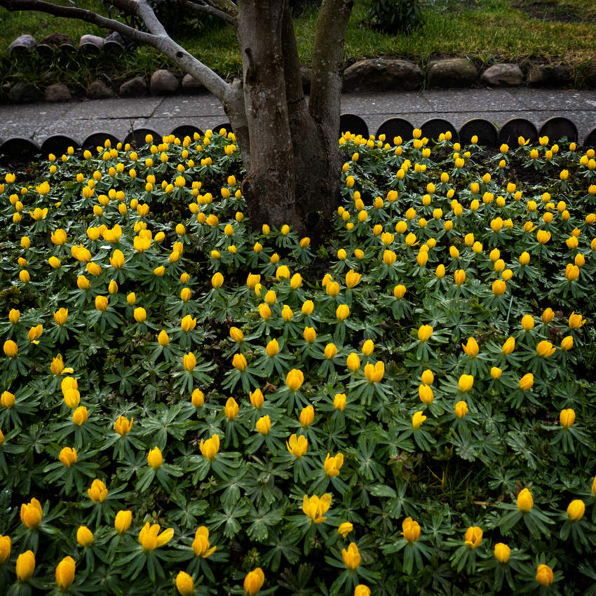 ... на даче к 8 Марта