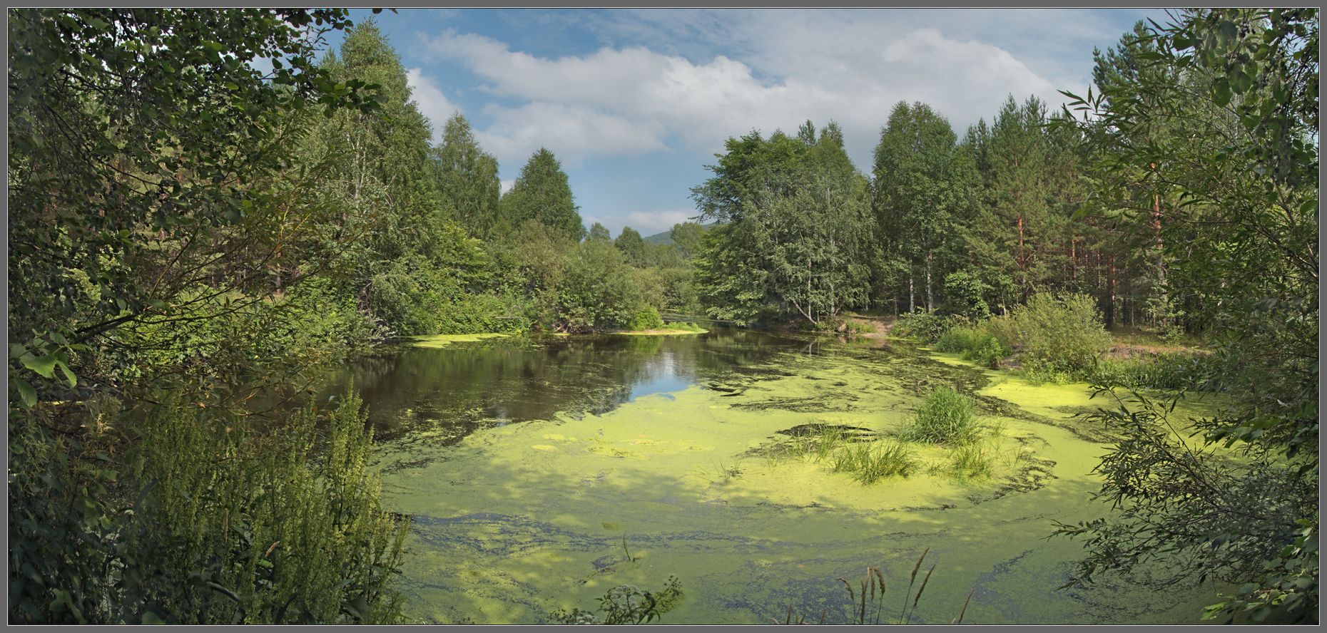 Вспоминая лето