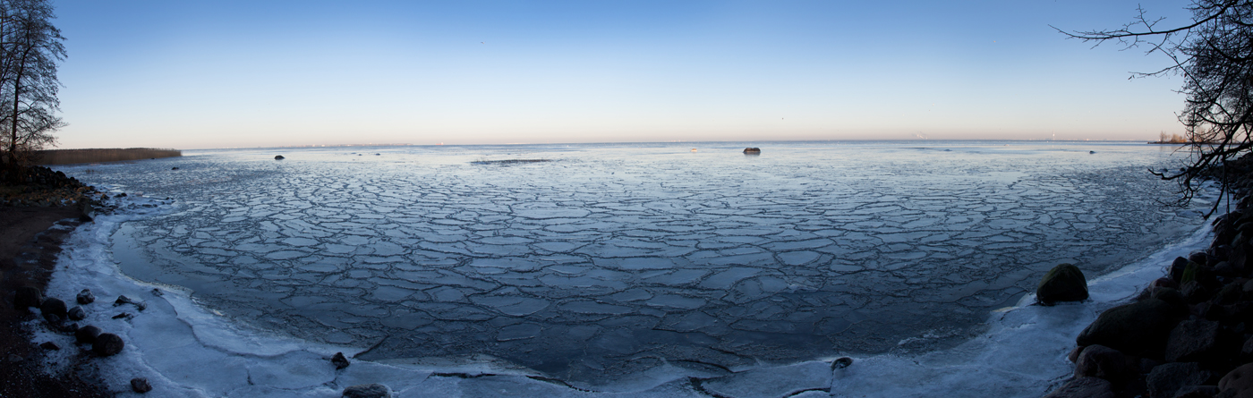 Маркизова лужа 8