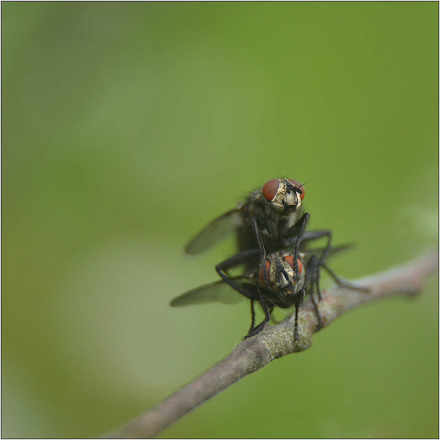 Недовольный.