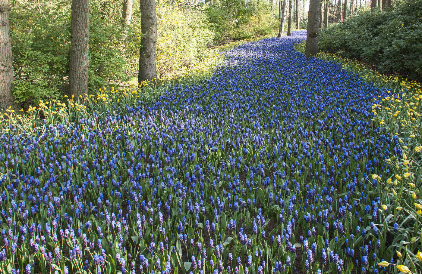 С праздником!