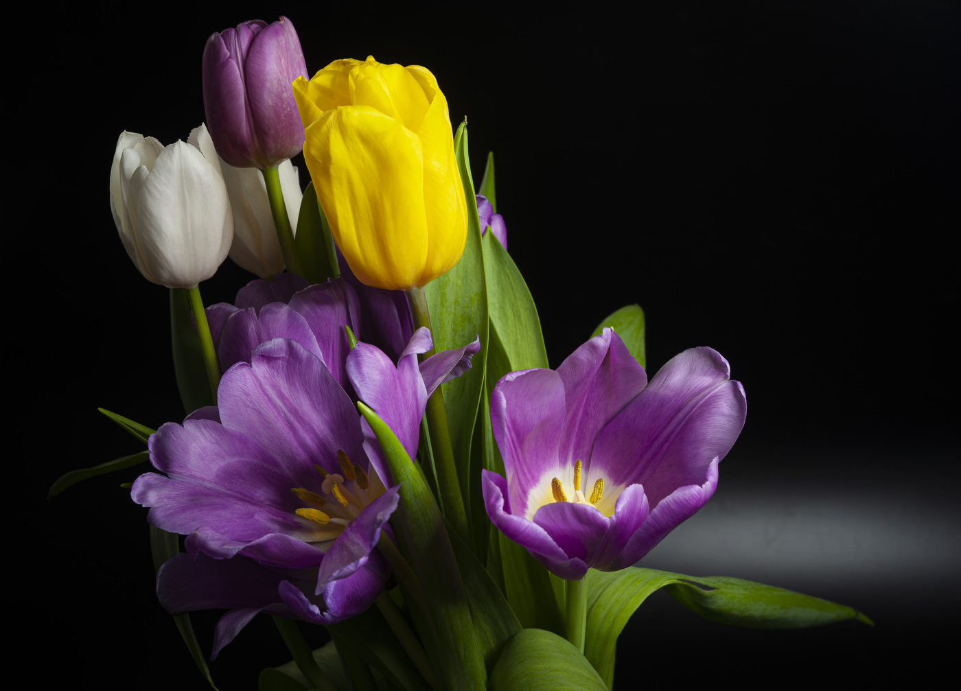 Тюльпаны - это улыбка Весны!