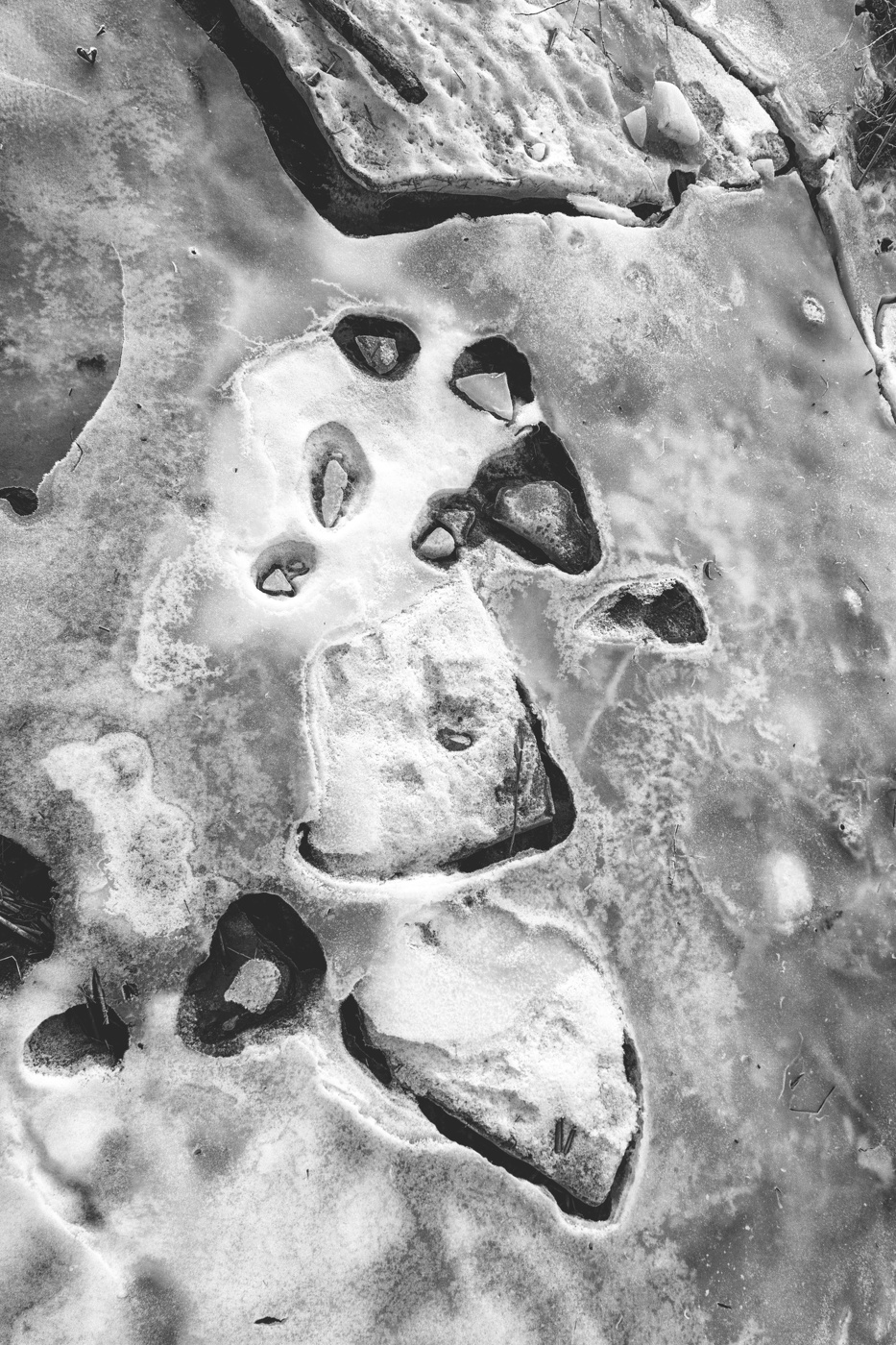 Жизнь вокруг