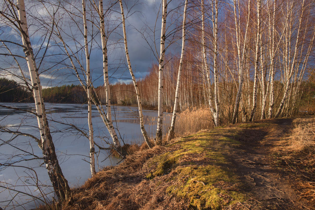 Ощущение весны.