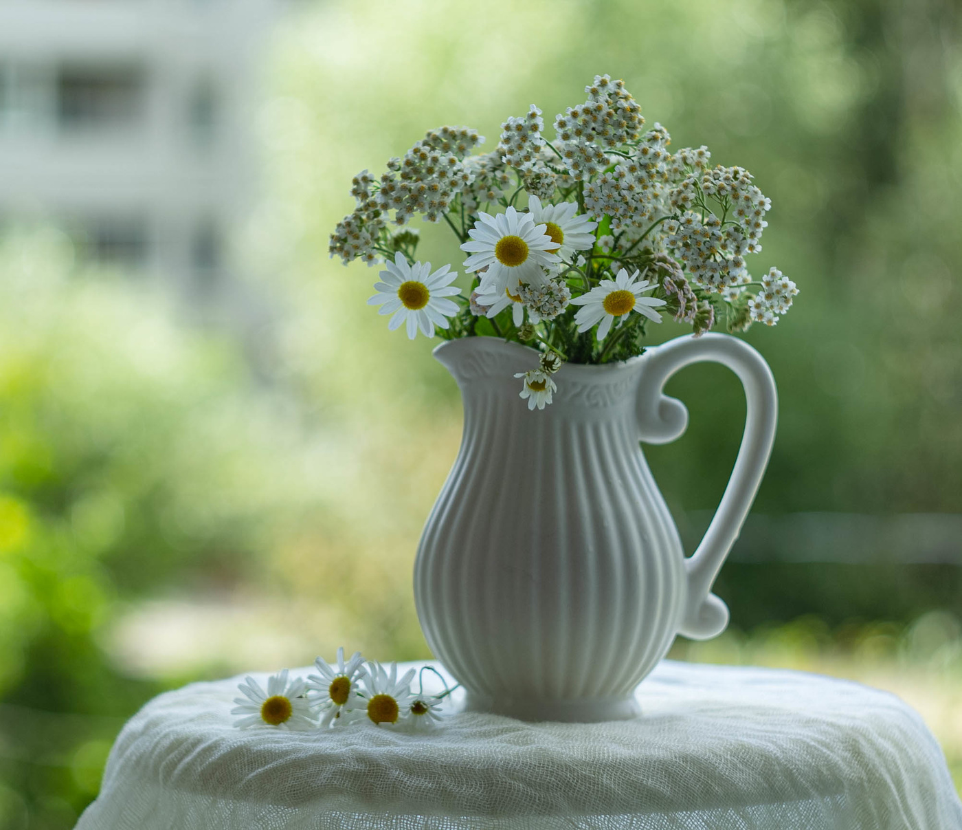 Весна идет, а там и лето...