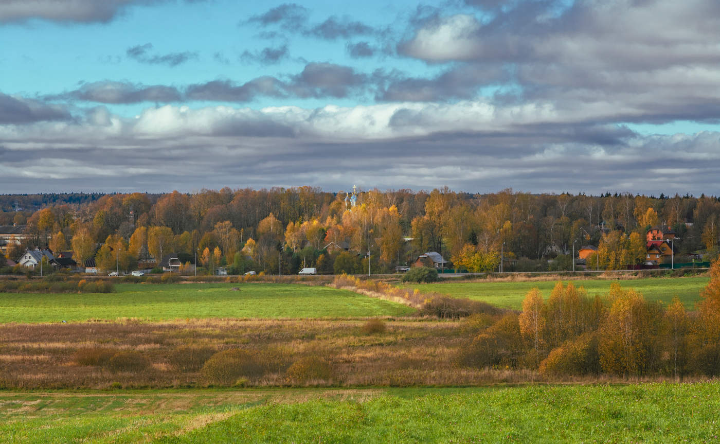 осенние мотивы