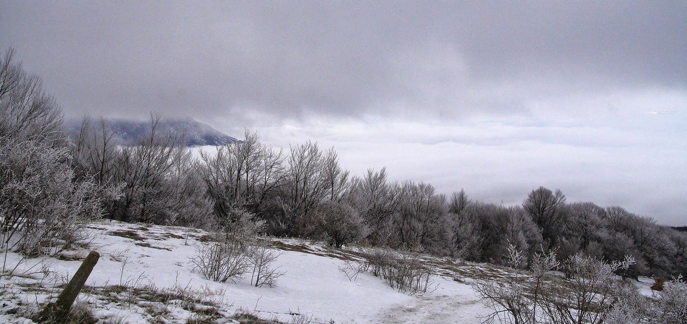 На склонах Чатыр-Дага
