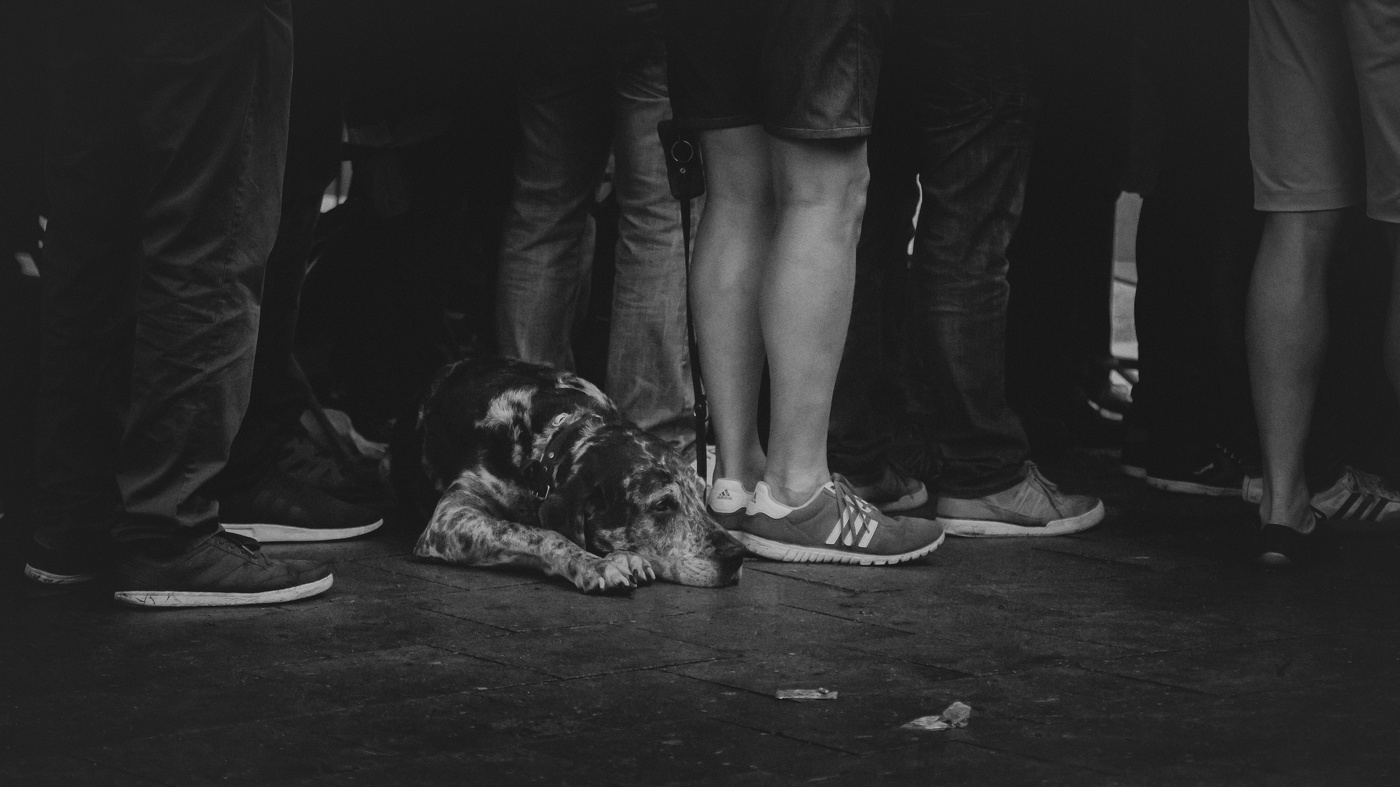 пропущенное шоу