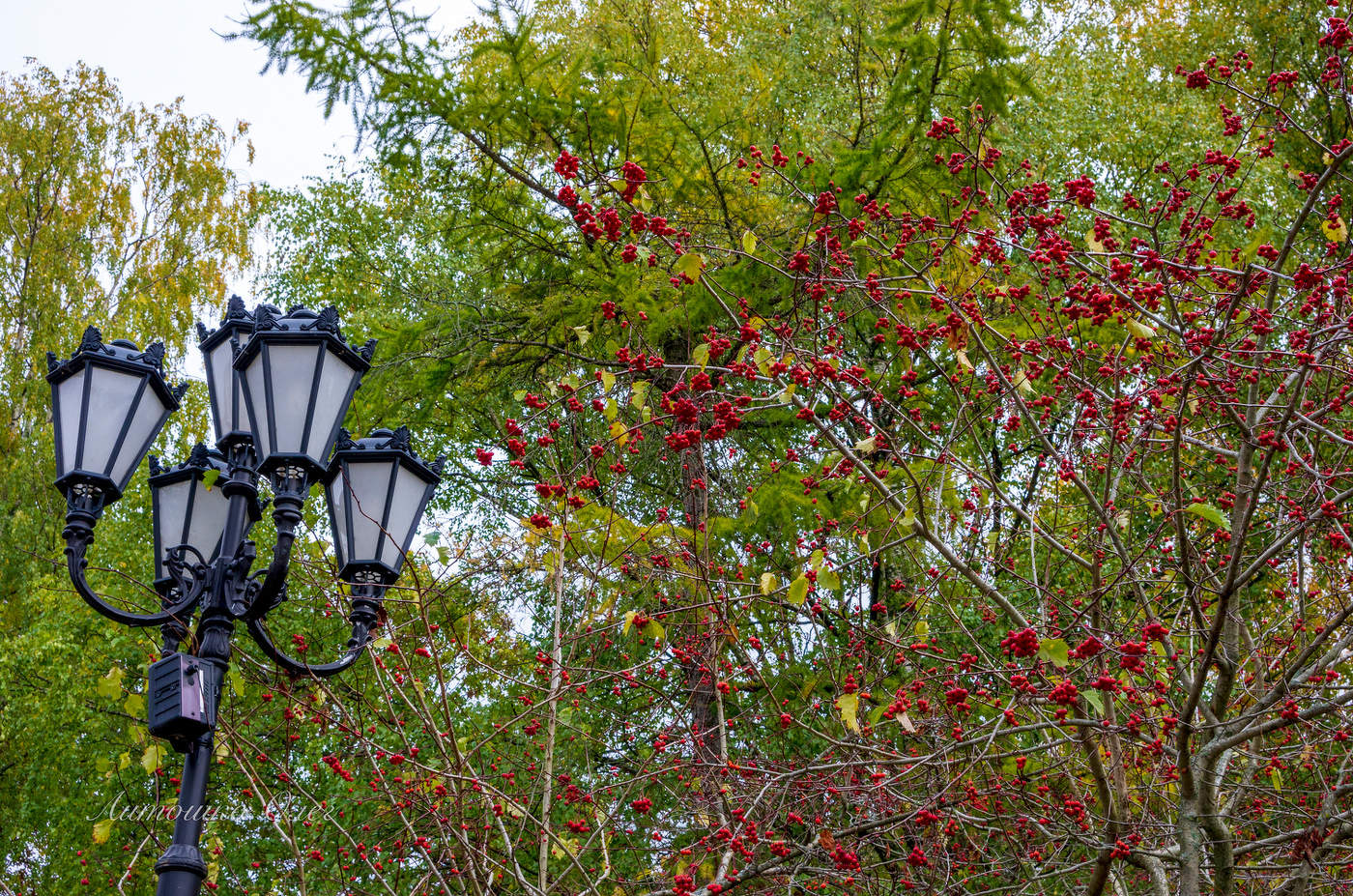 Великий Новгород.