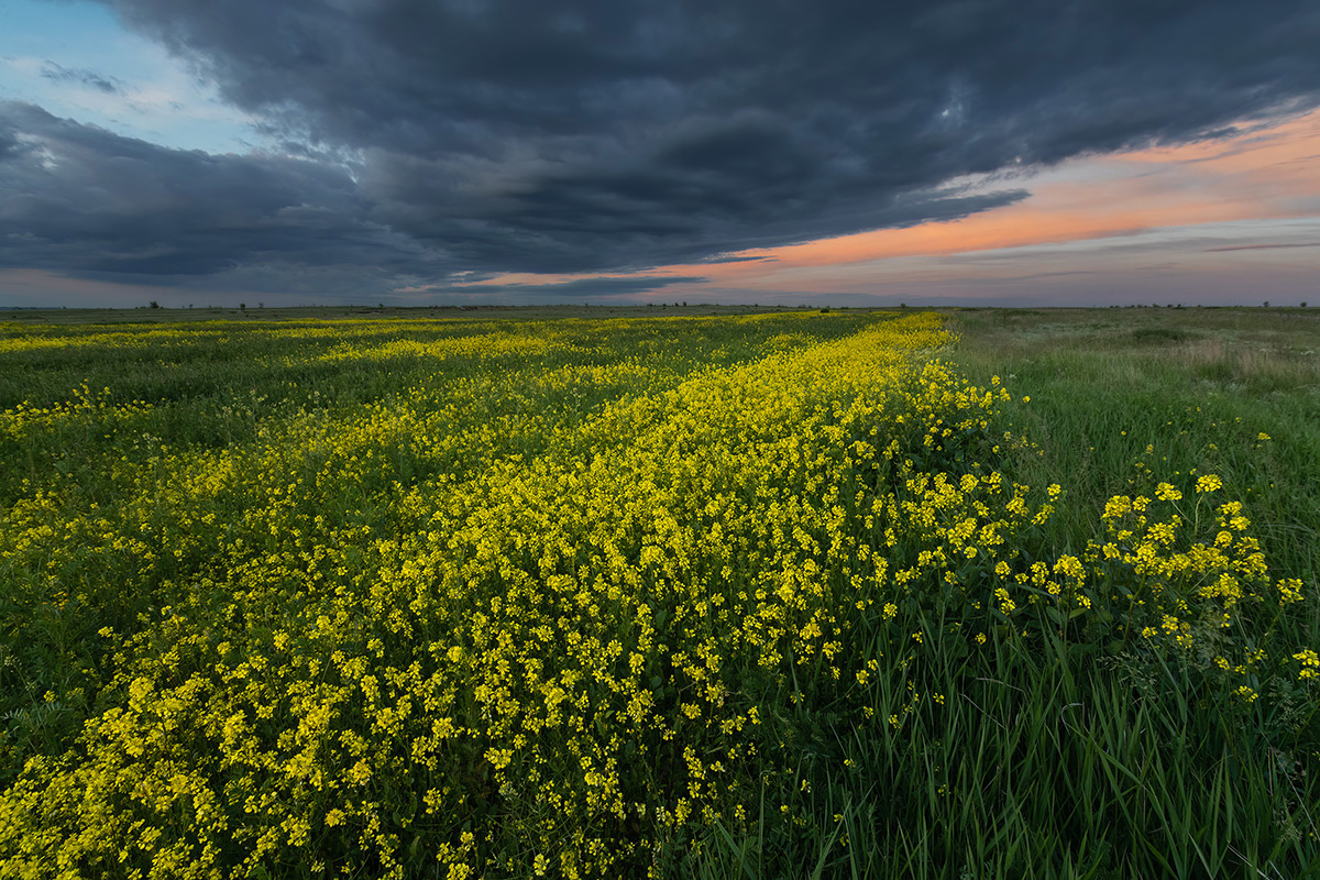 Вечерние диагонали